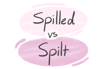 "Spilled" vs. "Spilt" in the English Grammar