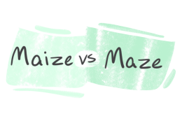 "Maize" vs. "Maze" in English
