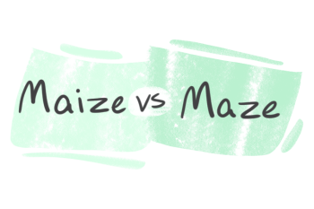 "Maize" vs. "Maze" in English