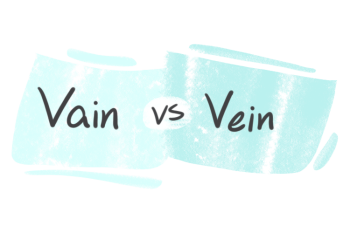 "Vain" vs. "Vein" in English