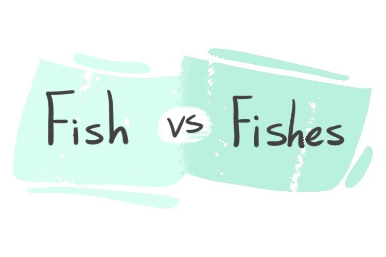 "Fish" vs. "Fishes" in English LanGeek