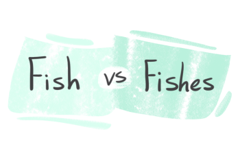"Fish" vs. "Fishes" in English