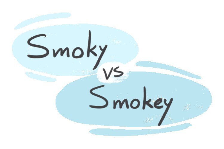 "Smokey" vs. "Smoky" in English | LanGeek