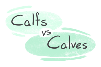 "Calfs" vs. "Calves" in English Grammar