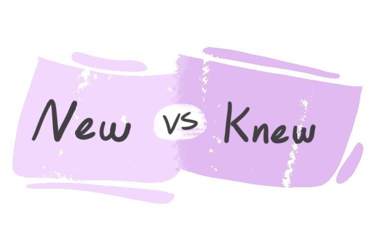 "New" Vs. "Knew" In English | LanGeek