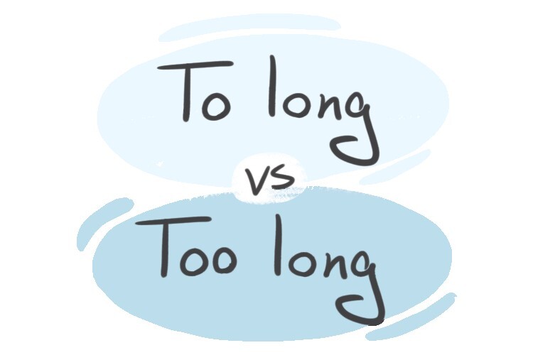 To long vs. Too long in English
