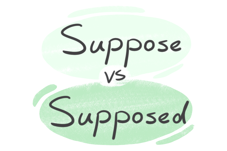 "Suppose" vs. "Supposed" in the English Grammar