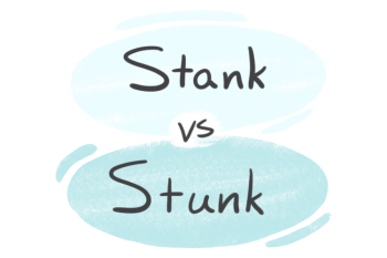 "Stank" vs. "Stunk" in the English Grammar