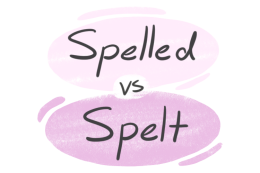 "Spelled" vs. "Spelt" in the English Grammar