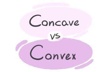 "Concave" vs. "Convex" in English