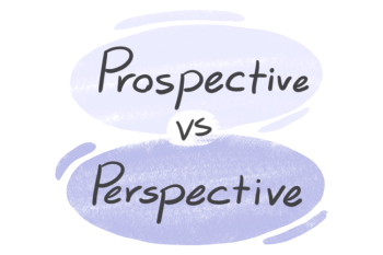 "Prospective" vs. "Perspective" in English