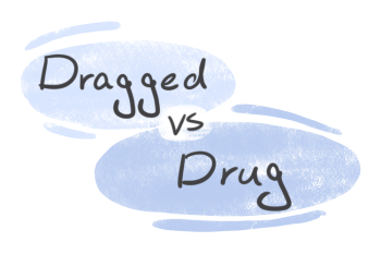 "Dragged" vs. "Drug" in the English Grammar