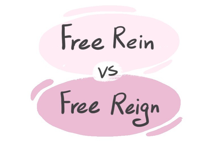"Free Rein" vs. "Free Reign" in English LanGeek