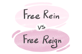"Free Rein" vs. "Free Reign" in English