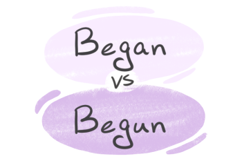 "Began" vs. "Begun" in the English Grammar