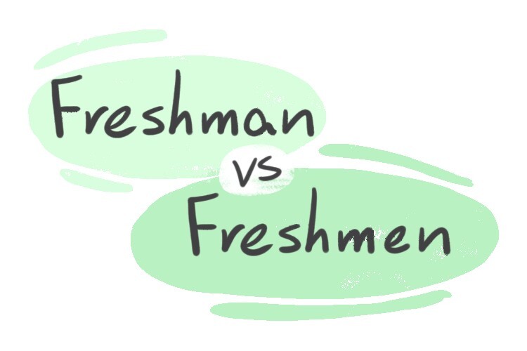 freshman-vs-freshmen-in-english-langeek