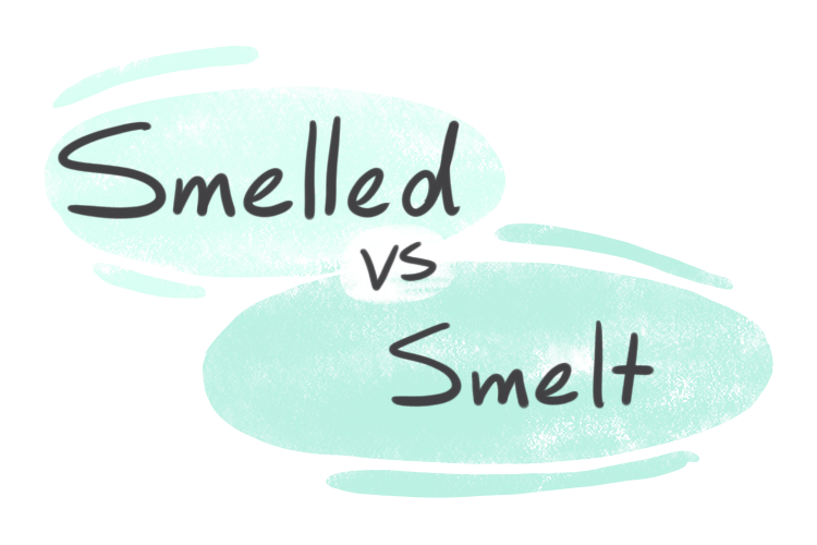 "Smelled" vs. "Smelt" in English