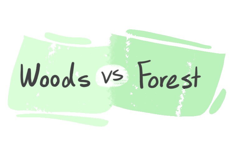 "Woods" vs. "Forest" in English LanGeek