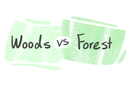 "Woods" vs. "Forest" in English