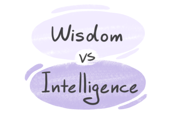 "Wisdom" vs. "Intelligence" in English