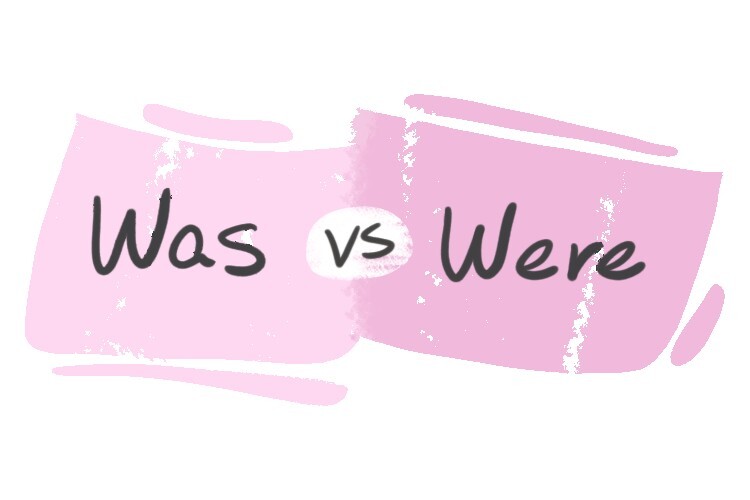 Was Vs Were In The English Grammar Langeek 