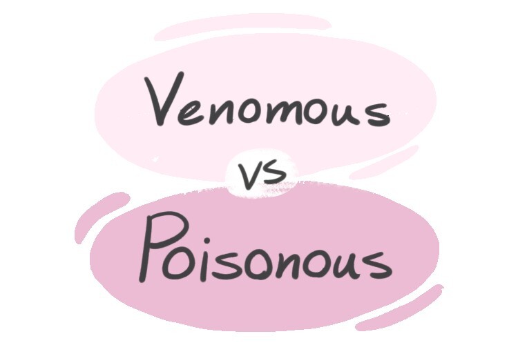 "Venomous" Vs. "Poisonous" In English | LanGeek