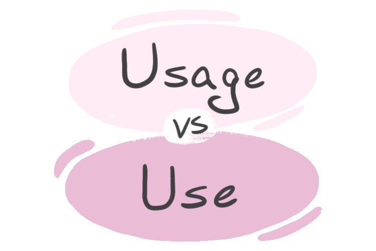 usage-vs-use-in-english-langeek