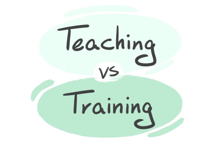 teaching-vs-training-in-english-langeek