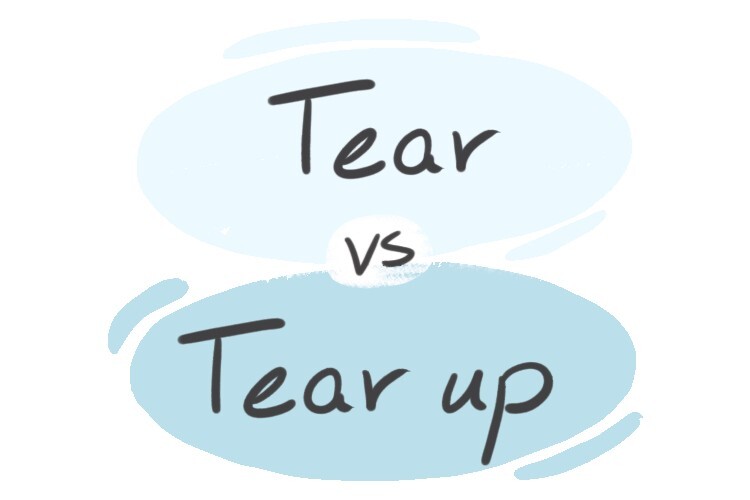 Tear  Meaning of tear 