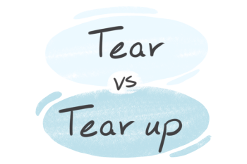 "Tear" vs. "Tear up" in the English Language