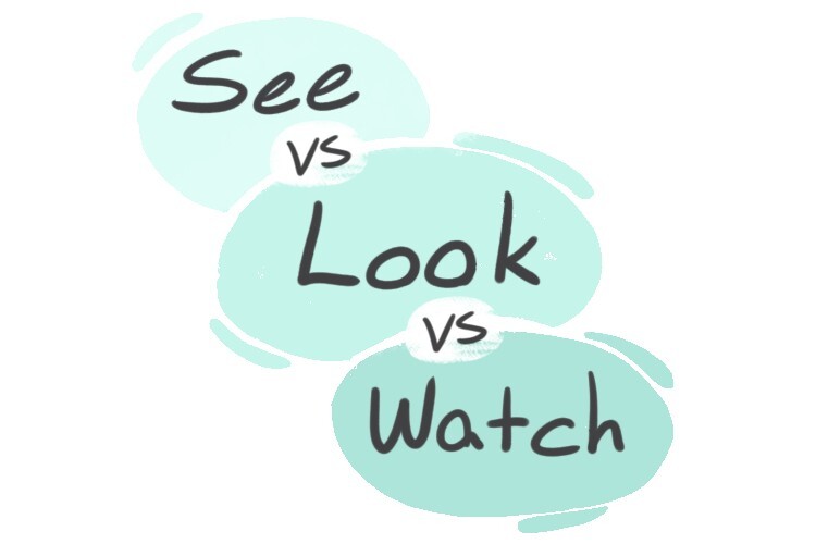 "See" vs. "Look" vs. "Watch" in English LanGeek