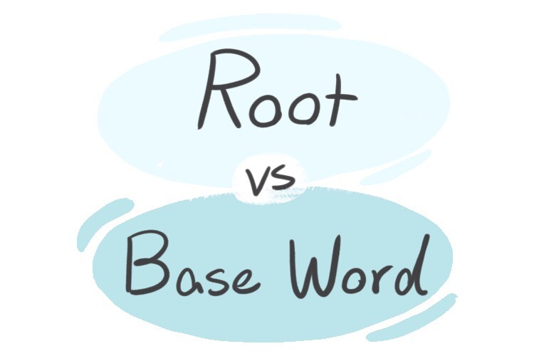 root-vs-base-word-in-the-english-grammar-langeek