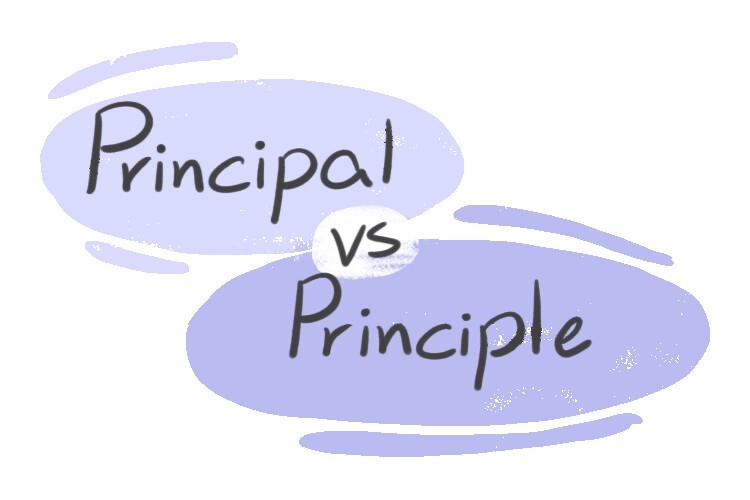 "Principal" vs. "Principle" in English LanGeek
