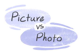 "Picture" vs. "Photo" in English