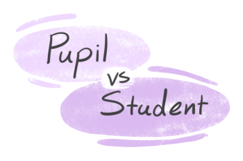 "Pupil'" vs. "Student" in English