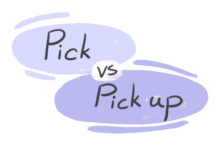 pick-vs-pick-up-in-the-english-grammar-langeek