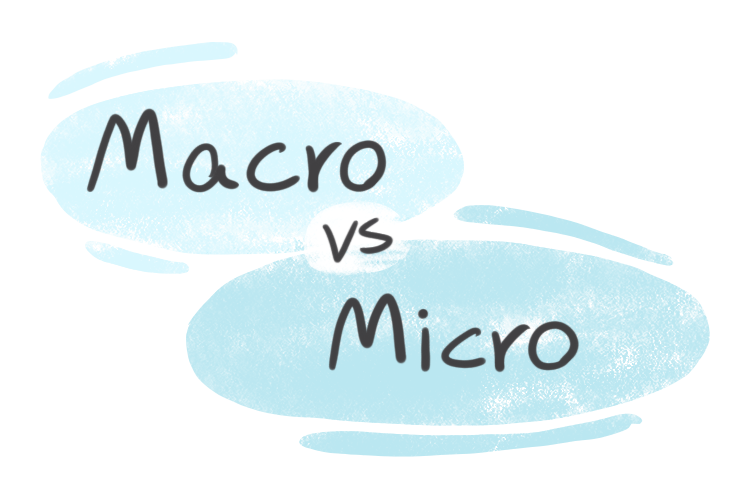 "Macro" vs. "Micro "in English