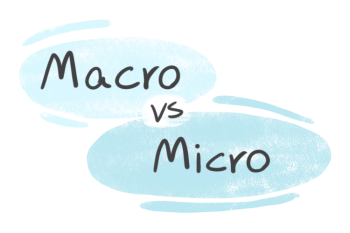 "Macro" vs. "Micro "in English