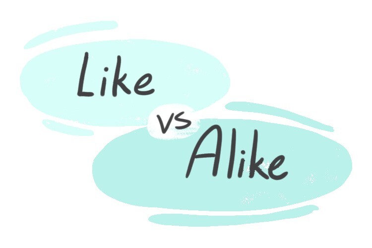 Alike Opposite Word In English