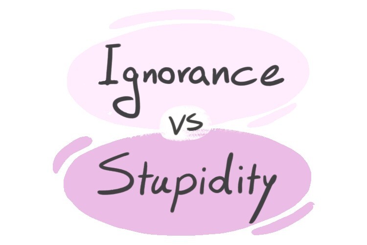 ignorance-vs-stupidity-in-english-langeek