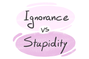 "Ignorance" vs. "Stupidity" in English