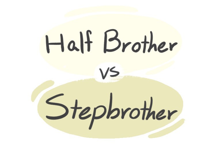  Half Brother Vs Stepbrother In English LanGeek