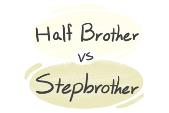 "Half Brother" vs "Stepbrother" in English