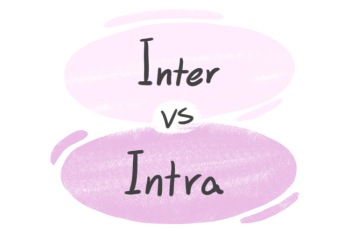 "Inter" vs. "Intra" in English