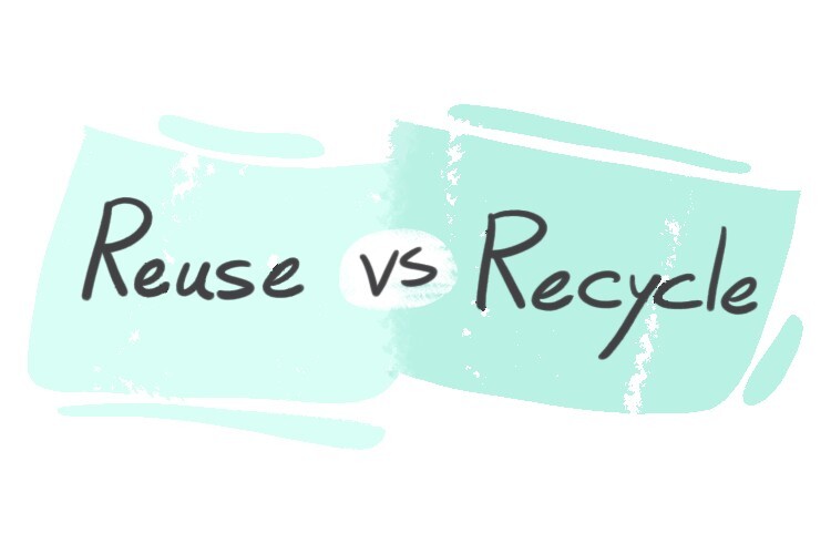 "Reuse" vs. "Recycle" in English LanGeek