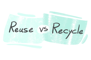 "Reuse" vs. "Recycle" in English