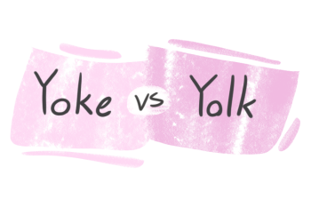 "Yoke" vs. "Yolk" in English