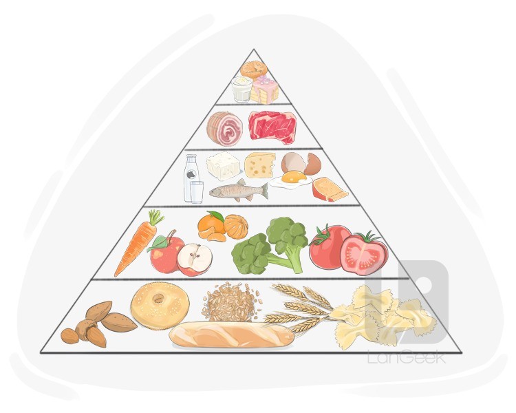 food pyramid definition and meaning