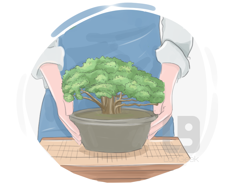 bonsai definition and meaning