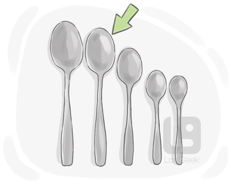 soup spoon definition and meaning